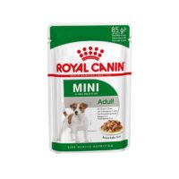 سوپ سگ بالغ نژاد کوچک