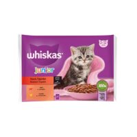 پک 4 عددی سوپ بچه گربه با طعم گوشت ویسکاس