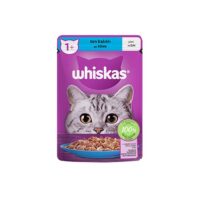 سوپ گربه بالغ با طعم تن ماهی در ژله