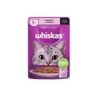 سوپ گربه بالغ با طعم ماهی سالمون