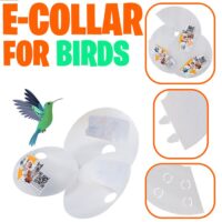 (دنیل) گردنبند الیزابت سایز S مخصوص پرندگان X33-2