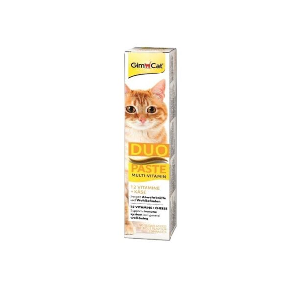 خمیر دوقلو مولتی ویتامین گربه جیم کت با طعم پنیر